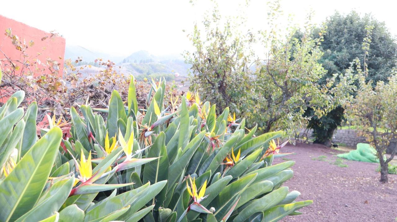 Casa Rural En San Mateo Las Palmas de Gran Canaria Exterior foto